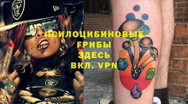 PSILOCYBIN Алексеевка