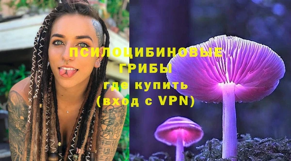 jwh Алзамай