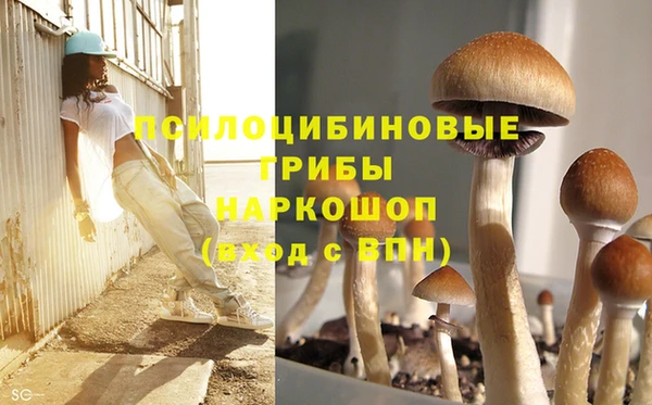 jwh Алзамай