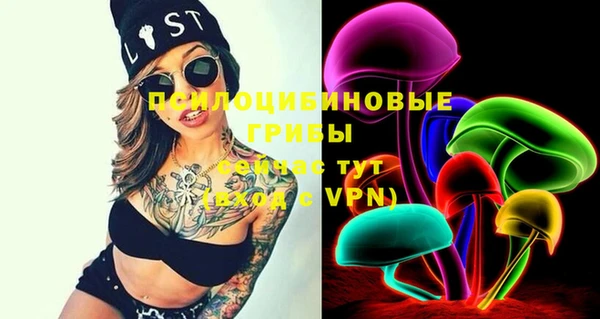 PSILOCYBIN Алексеевка