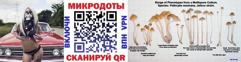 ссылка на мегу онион  Дедовск  нарко площадка клад  Псилоцибиновые грибы Magic Shrooms 