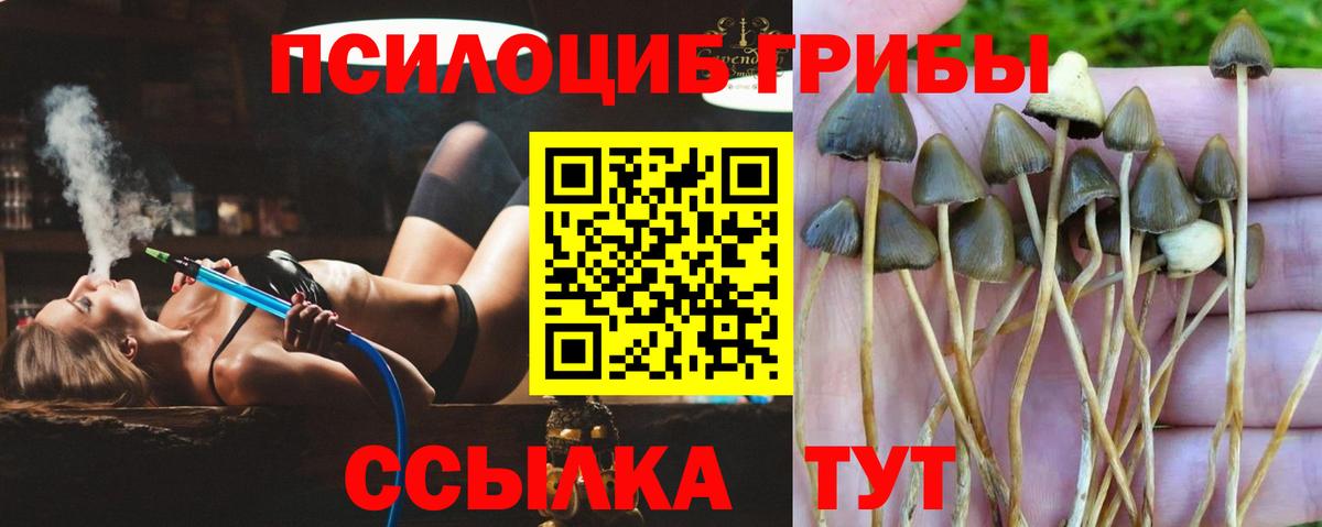 Галлюциногенные грибы Magic Shrooms Дедовск